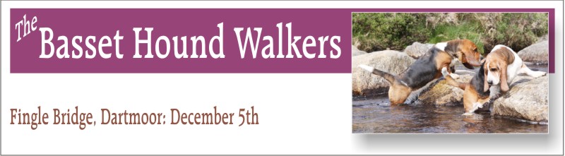 Basset Hound Walkers at Fingle Bridge